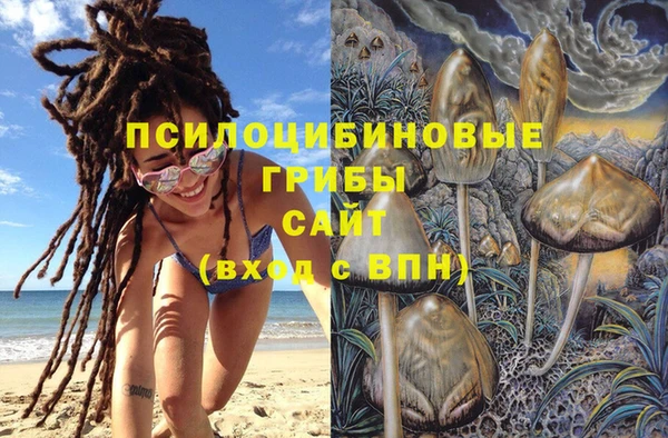 метамфетамин Богородицк