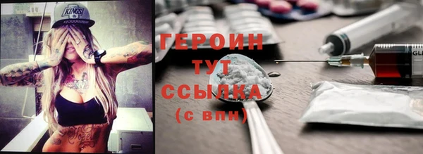 индика Арсеньев