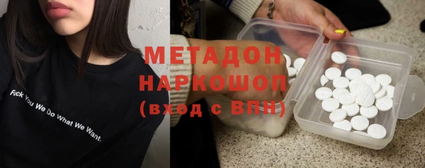 индика Арсеньев