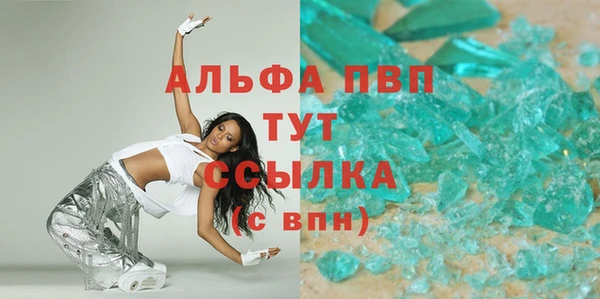индика Арсеньев